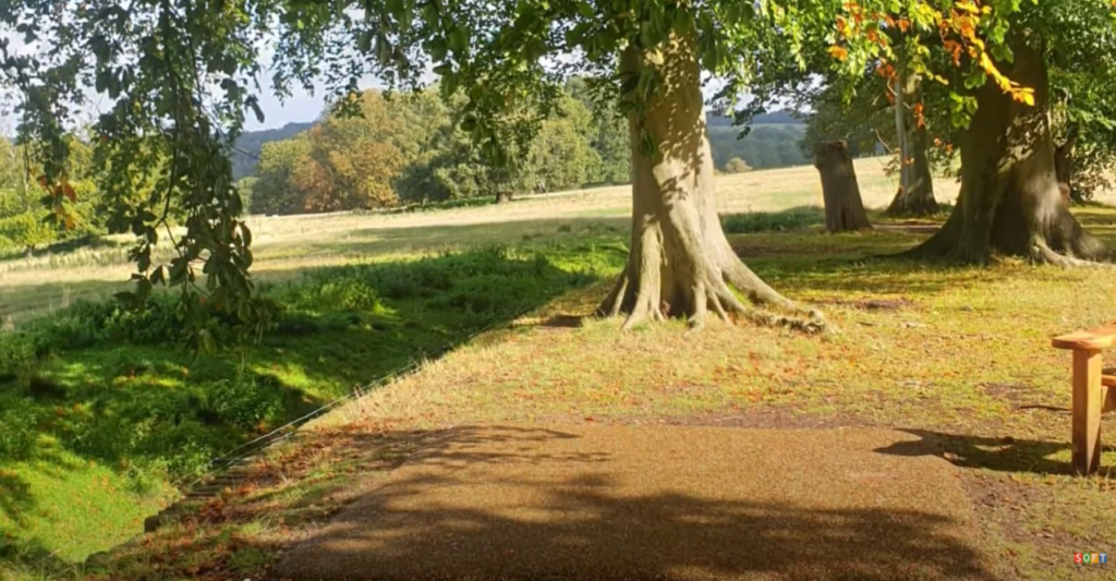 Brown and Green Rubber Mulch Bench Surround in Birmingham